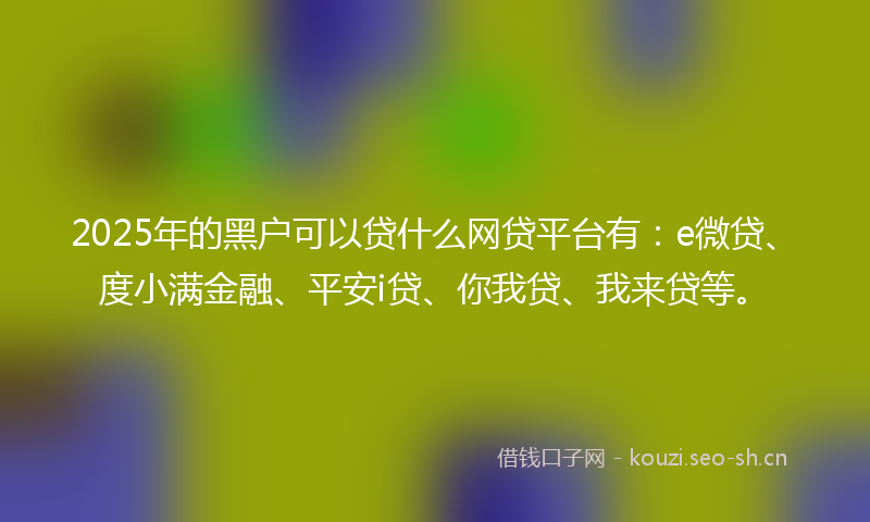 2025年的黑户可以贷什么网贷平台有:e微贷、度小满金融、平安i贷、你我贷、我来贷等。