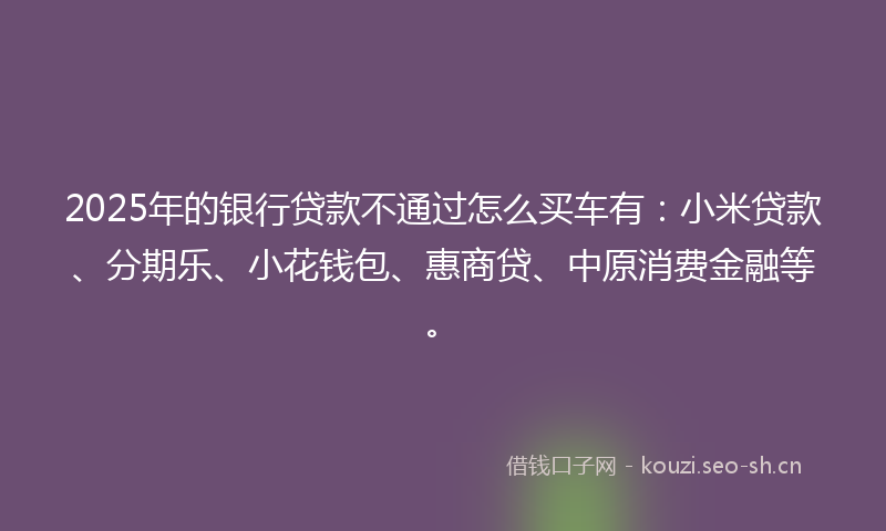 2025年的银行贷款不通过怎么买车有：小米贷款、分期乐、小花钱包、惠商贷、中原消费金融等。
