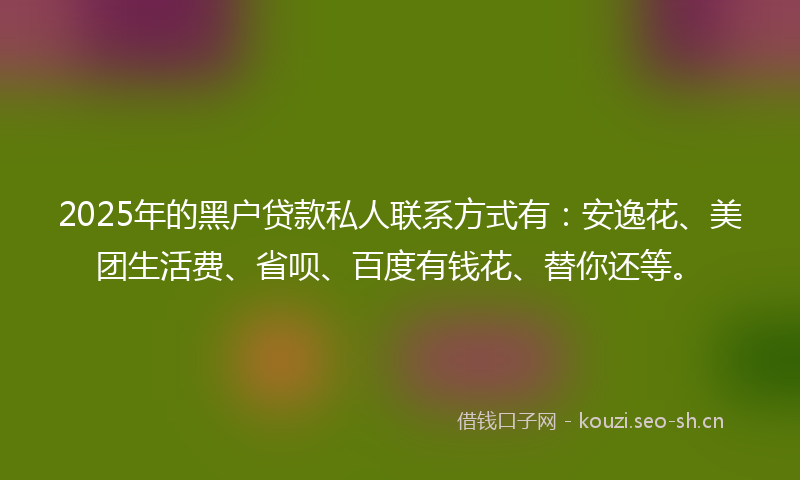 2025年的黑户贷款私人联系方式有：安逸花、美团生活费、省呗、百度有钱花、替你还等。