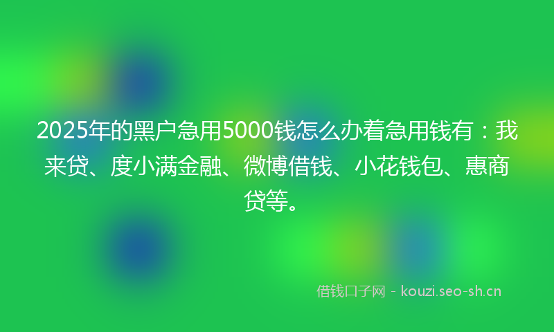 2025年的黑户急用5000钱怎么办着急用钱有：我来贷、度小满金融、微博借钱、小花钱包、惠商贷等。