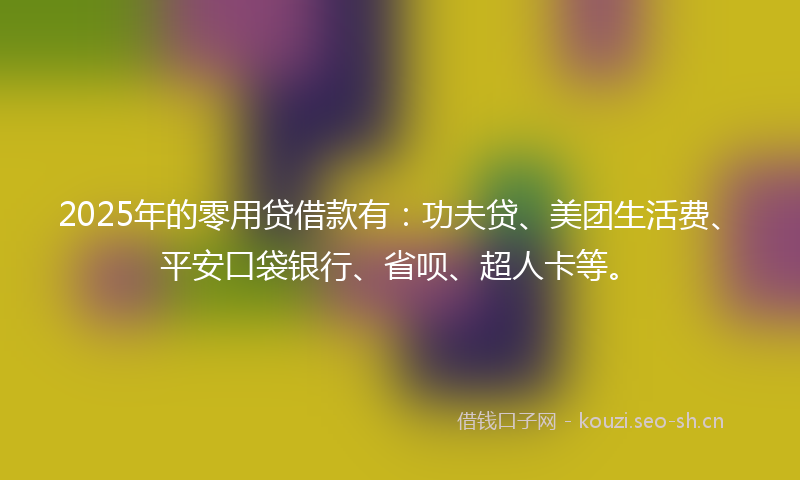 2025年的零用贷借款有：功夫贷、美团生活费、平安口袋银行、省呗、超人卡等。