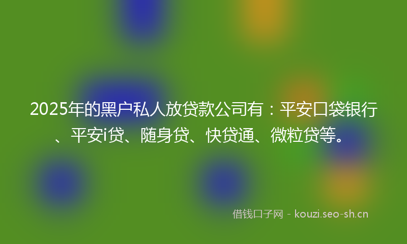 2025年的黑户私人放贷款公司有:平安口袋银行、平安i贷、随身贷、快贷通、微粒贷等。