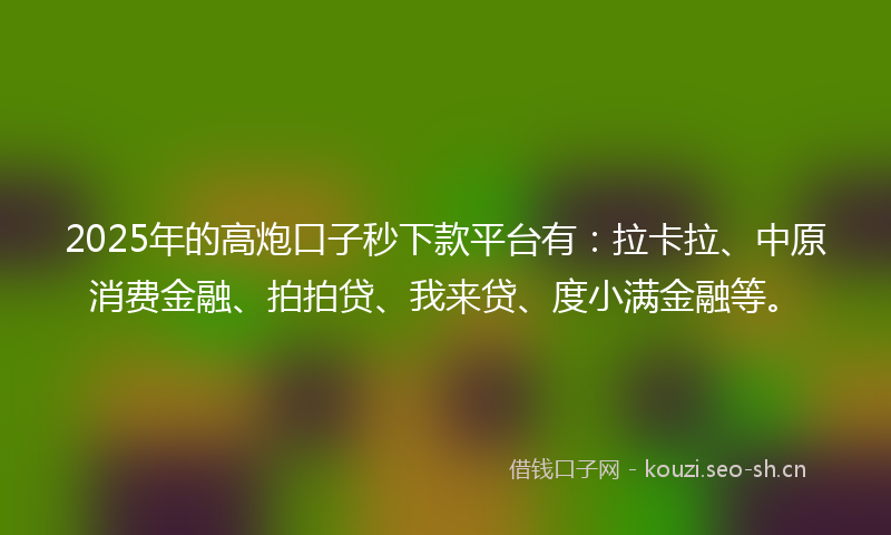 2025年的高炮口子秒下款平台有：拉卡拉、中原消费金融、拍拍贷、我来贷、度小满金融等。