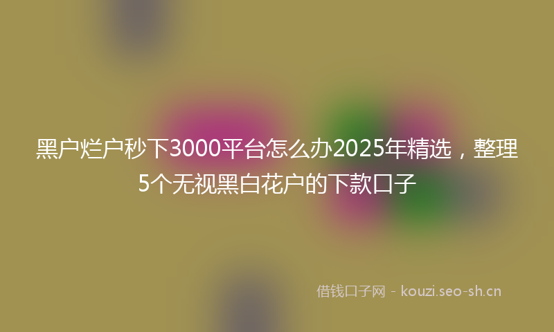 黑户烂户秒下3000平台怎么办2025年精选，整理5个无视黑白花户的下款口子