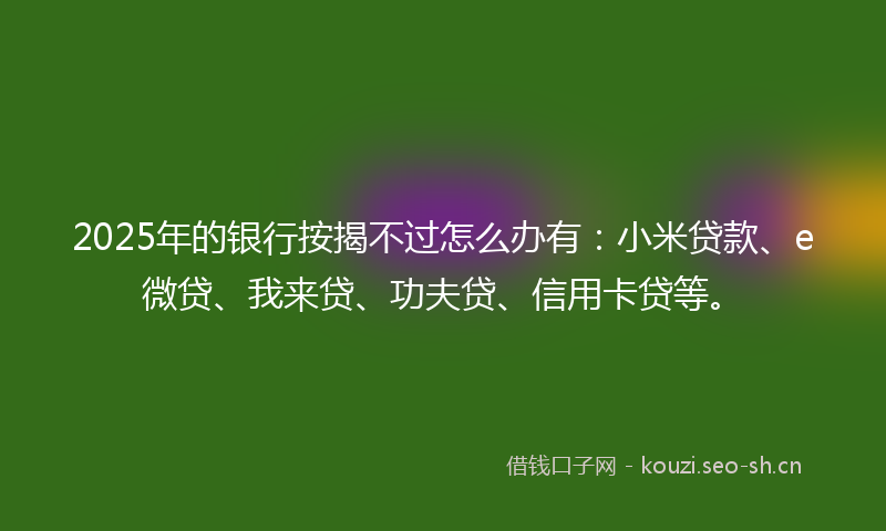 2025年的银行按揭不过怎么办有：小米贷款、e微贷、我来贷、功夫贷、信用卡贷等。