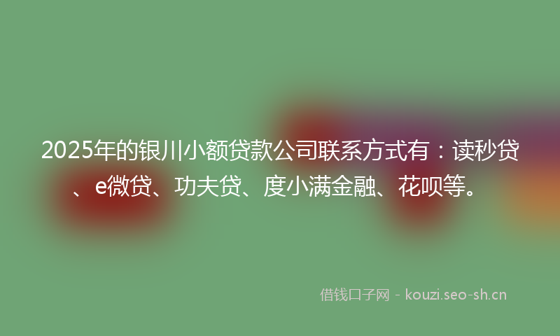 2025年的银川小额贷款公司联系方式有：读秒贷、e微贷、功夫贷、度小满金融、花呗等。