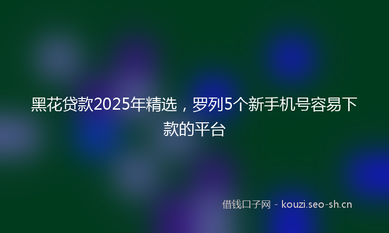 黑花贷款2025年精选，罗列5个新手机号容易下款的平台