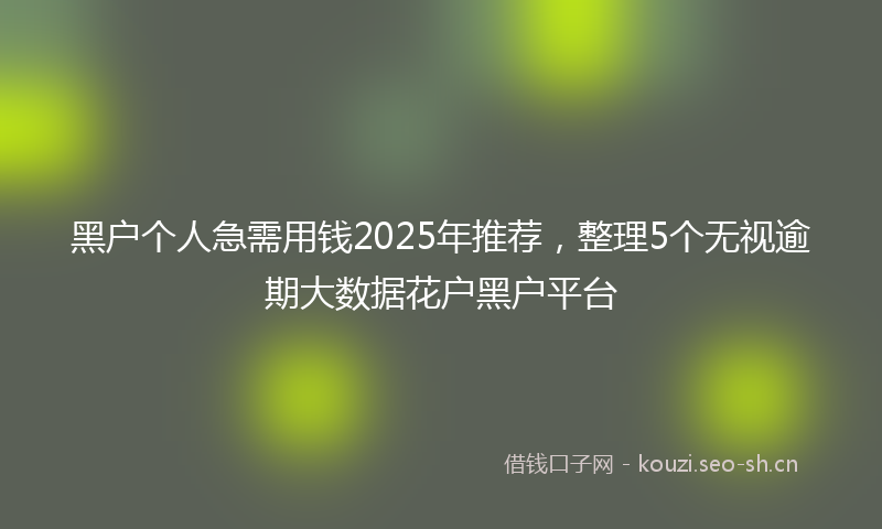黑户个人急需用钱2025年推荐，整理5个无视逾期大数据花户黑户平台
