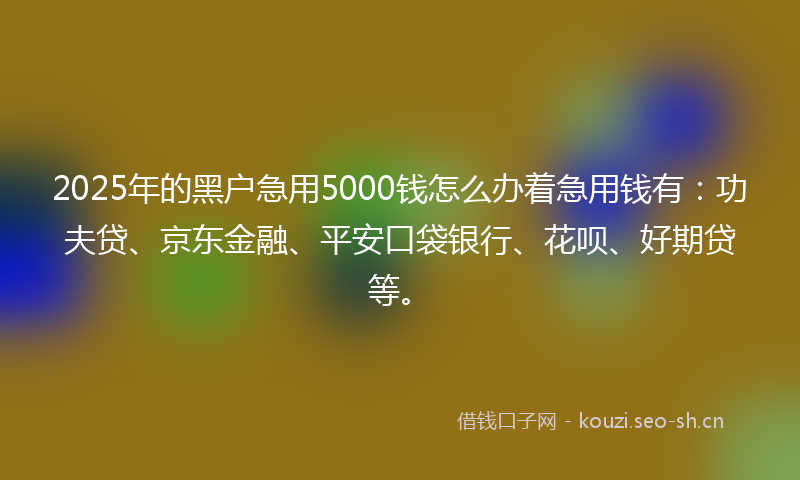 2025年的黑户急用5000钱怎么办着急用钱有：功夫贷、京东金融、平安口袋银行、花呗、好期贷等。