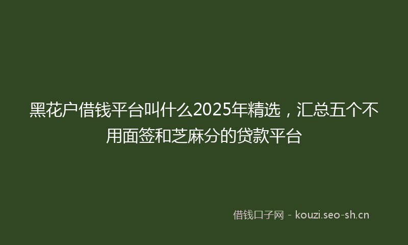 黑花户借钱平台叫什么2025年精选，汇总五个不用面签和芝麻分的贷款平台