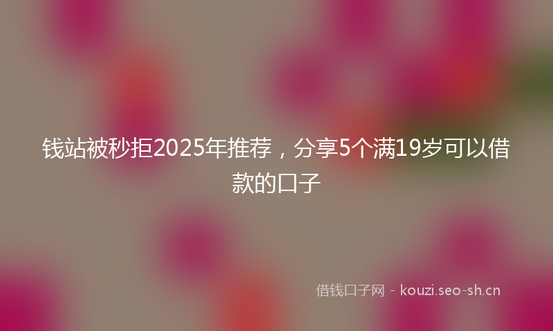 钱站被秒拒2025年推荐，分享5个满19岁可以借款的口子