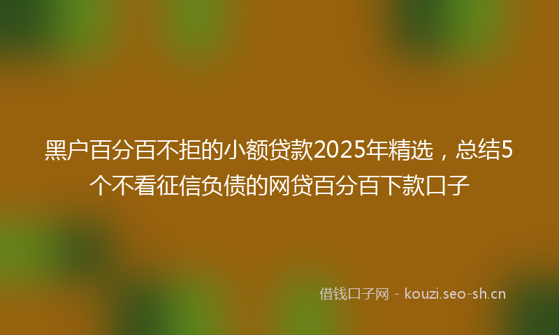 黑户百分百不拒的小额贷款2025年精选，总结5个不看征信负债的网贷百分百下款口子