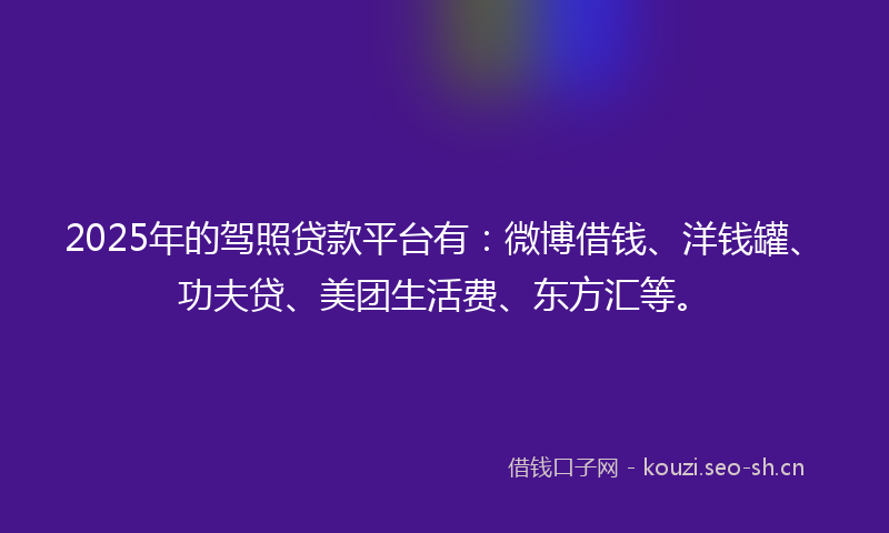 2025年的驾照贷款平台有：微博借钱、洋钱罐、功夫贷、美团生活费、东方汇等。