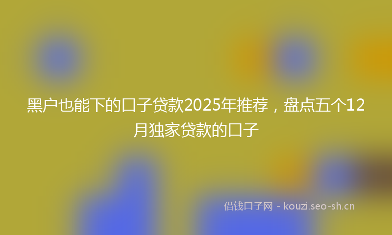 黑户也能下的口子贷款2025年推荐，盘点五个12月独家贷款的口子