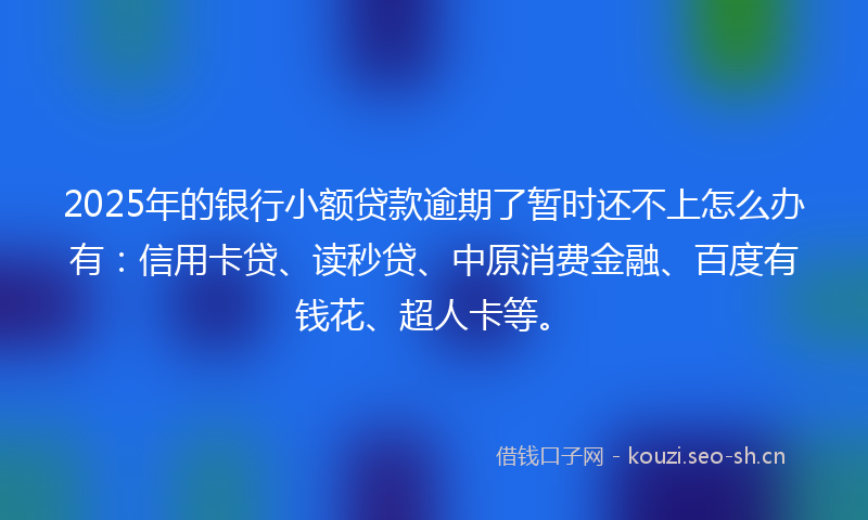 2025年的银行小额贷款逾期了暂时还不上怎么办有：信用卡贷、读秒贷、中原消费金融、百度有钱花、超人卡等。