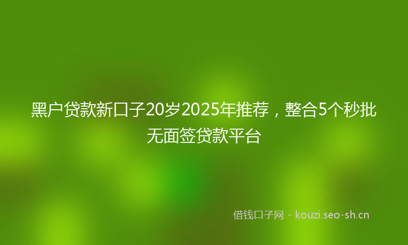 黑户贷款新口子20岁2025年推荐，整合5个秒批无面签贷款平台