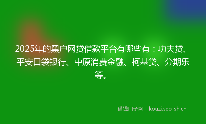 2025年的黑户网贷借款平台有哪些有：功夫贷、平安口袋银行、中原消费金融、柯基贷、分期乐等。