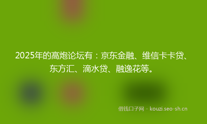 2025年的高炮论坛有：京东金融、维信卡卡贷、东方汇、滴水贷、融逸花等。