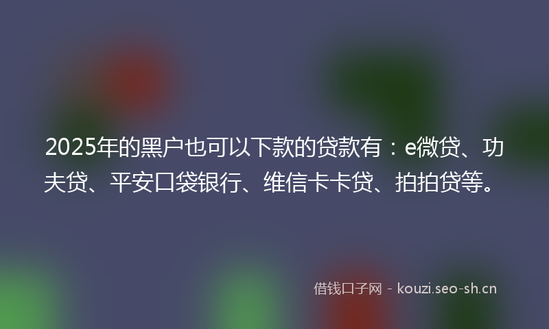 2025年的黑户也可以下款的贷款有：e微贷、功夫贷、平安口袋银行、维信卡卡贷、拍拍贷等。