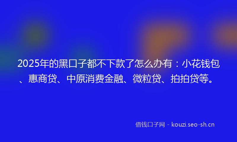 2025年的黑口子都不下款了怎么办有：小花钱包、惠商贷、中原消费金融、微粒贷、拍拍贷等。