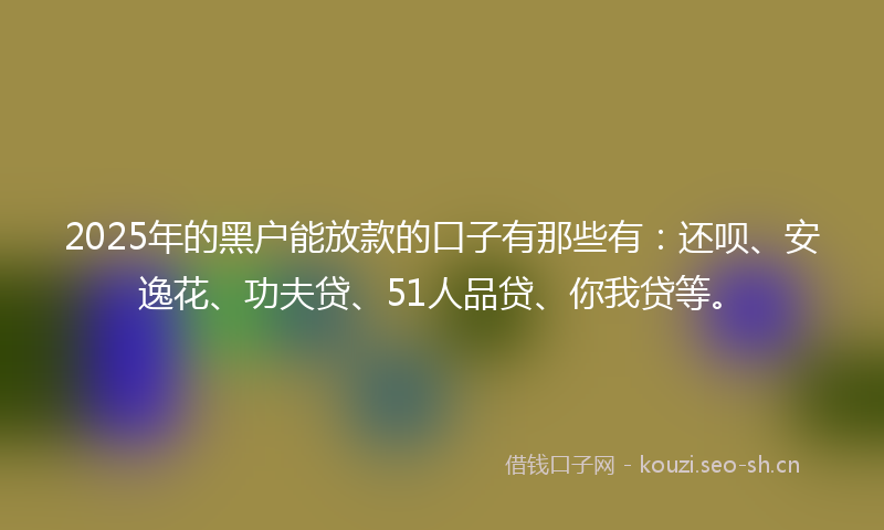 2025年的黑户能放款的口子有那些有：还呗、安逸花、功夫贷、51人品贷、你我贷等。