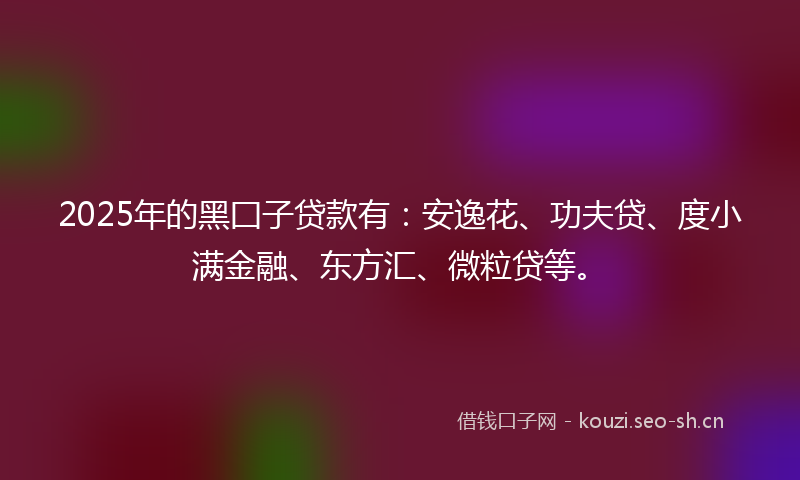 2025年的黑囗子贷款有:安逸花、功夫贷、度小满金融、东方汇、微粒贷等。