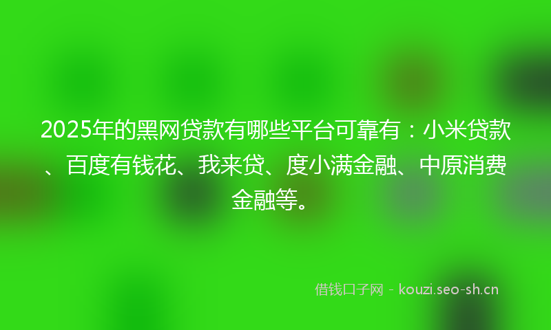 2025年的黑网贷款有哪些平台可靠有：小米贷款、百度有钱花、我来贷、度小满金融、中原消费金融等。