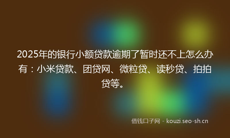 2025年的银行小额贷款逾期了暂时还不上怎么办有：小米贷款、团贷网、微粒贷、读秒贷、拍拍贷等。