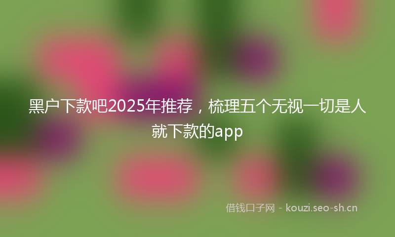 黑户下款吧2025年推荐，梳理五个无视一切是人就下款的app