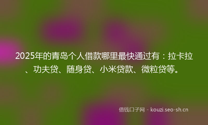 2025年的青岛个人借款哪里最快通过有:拉卡拉、功夫贷、随身贷、小米贷款、微粒贷等。