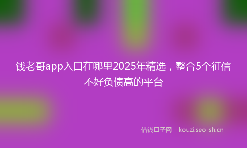 钱老哥app入口在哪里2025年精选，整合5个征信不好负债高的平台