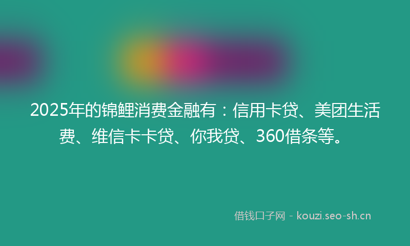 2025年的锦鲤消费金融有：信用卡贷、美团生活费、维信卡卡贷、你我贷、360借条等。