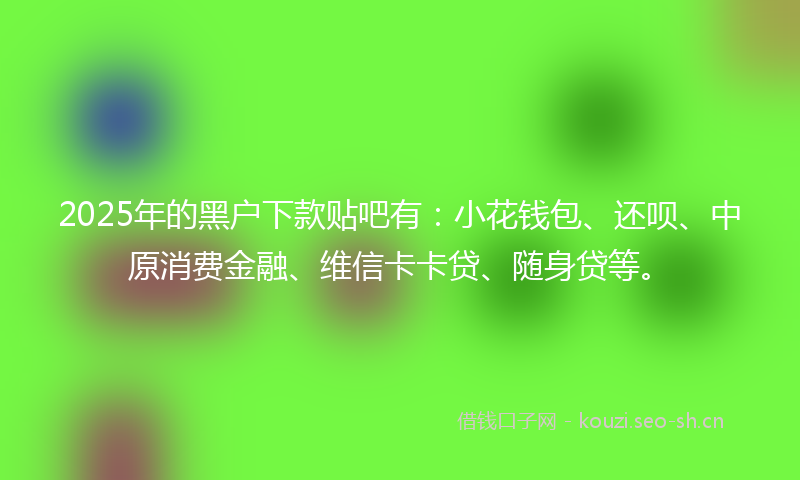 2025年的黑户下款贴吧有:小花钱包、还呗、中原消费金融、维信卡卡贷、随身贷等。