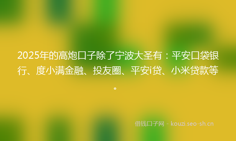 2025年的高炮口子除了宁波大圣有：平安口袋银行、度小满金融、投友圈、平安i贷、小米贷款等。