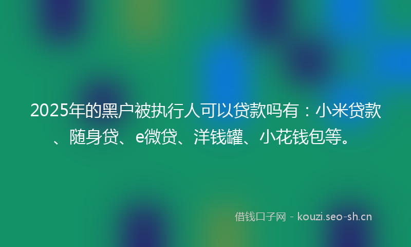 2025年的黑户被执行人可以贷款吗有：小米贷款、随身贷、e微贷、洋钱罐、小花钱包等。