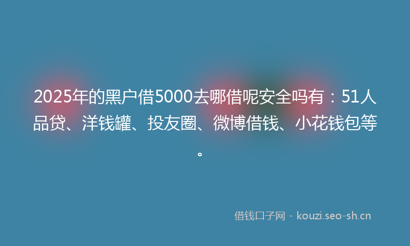 2025年的黑户借5000去哪借呢安全吗有:51人品贷、洋钱罐、投友圈、微博借钱、小花钱包等。