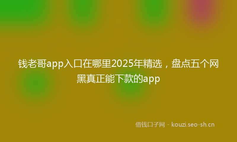 钱老哥app入口在哪里2025年精选，盘点五个网黑真正能下款的app