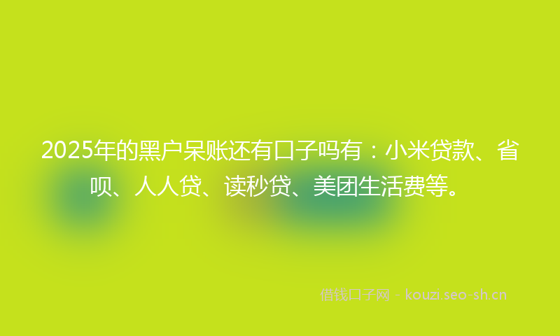 2025年的黑户呆账还有口子吗有:小米贷款、省呗、人人贷、读秒贷、美团生活费等。