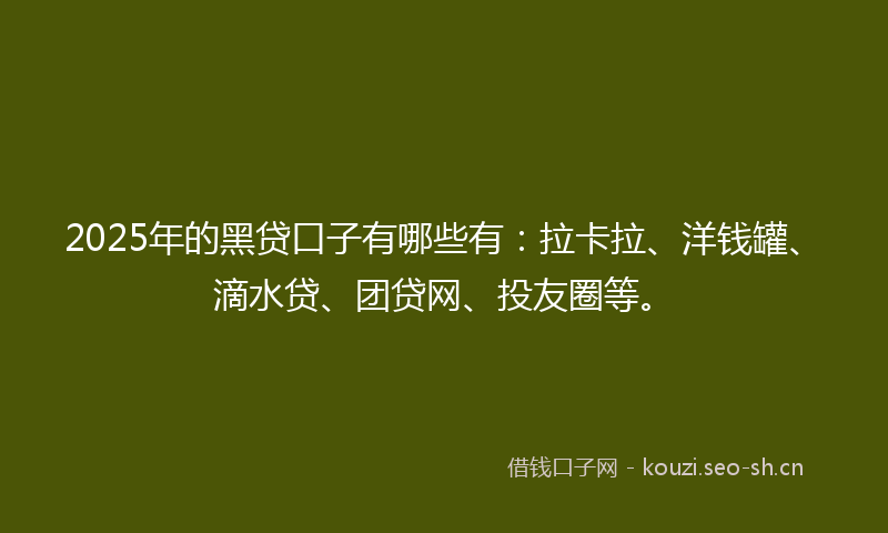 2025年的黑贷口子有哪些有：拉卡拉、洋钱罐、滴水贷、团贷网、投友圈等。
