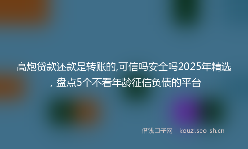 高炮贷款还款是转账的,可信吗安全吗2025年精选，盘点5个不看年龄征信负债的平台