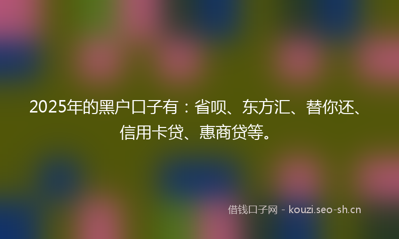 2025年的黑户口子有：省呗、东方汇、替你还、信用卡贷、惠商贷等。