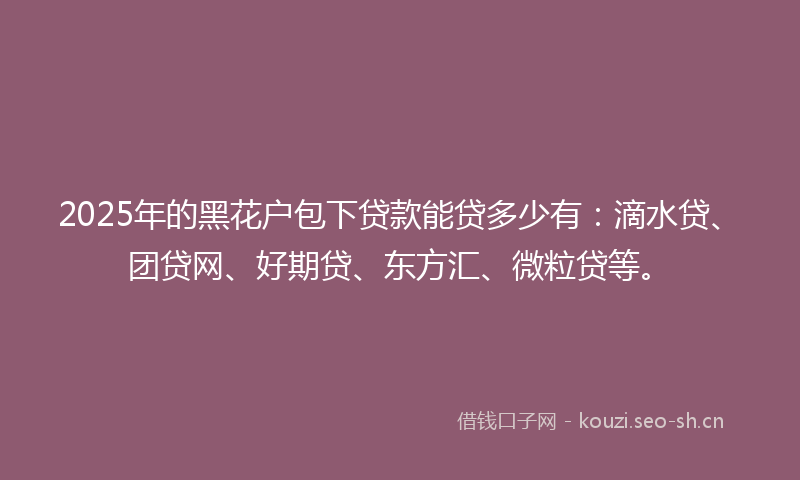 2025年的黑花户包下贷款能贷多少有：滴水贷、团贷网、好期贷、东方汇、微粒贷等。