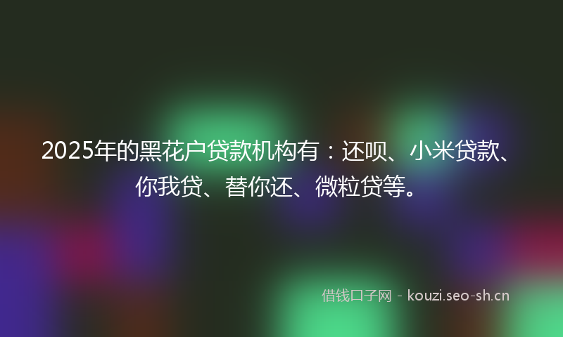 2025年的黑花户贷款机构有：还呗、小米贷款、你我贷、替你还、微粒贷等。