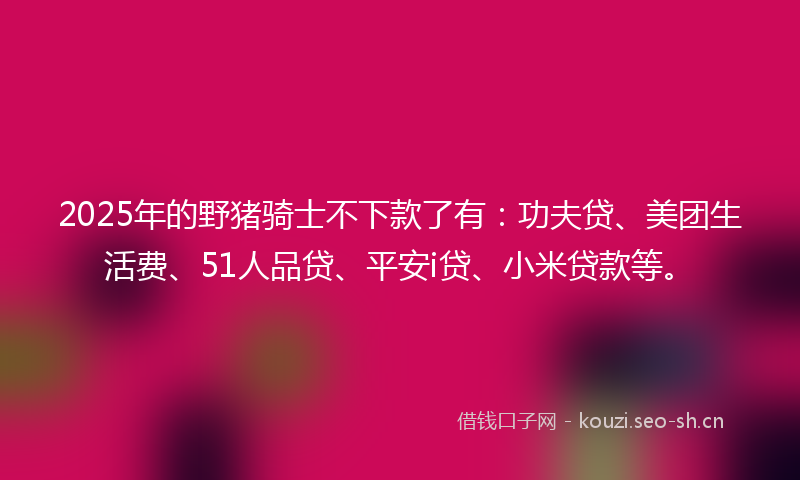 2025年的野猪骑士不下款了有：功夫贷、美团生活费、51人品贷、平安i贷、小米贷款等。