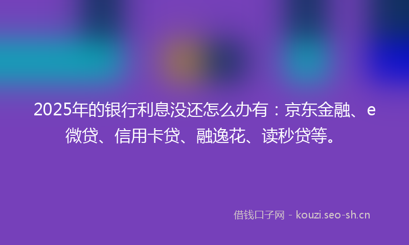 2025年的银行利息没还怎么办有：京东金融、e微贷、信用卡贷、融逸花、读秒贷等。