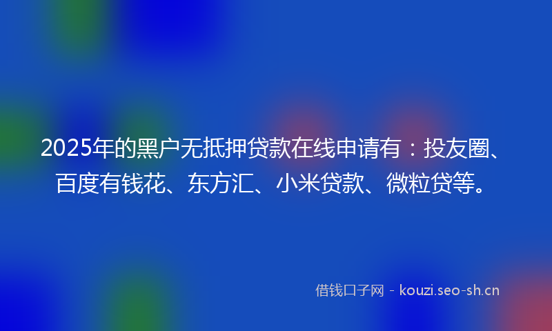 2025年的黑户无抵押贷款在线申请有：投友圈、百度有钱花、东方汇、小米贷款、微粒贷等。