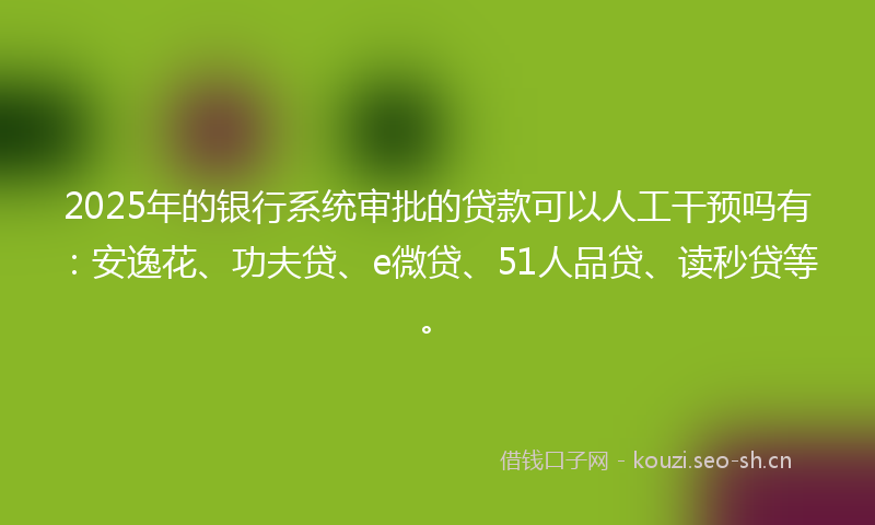2025年的银行系统审批的贷款可以人工干预吗有：安逸花、功夫贷、e微贷、51人品贷、读秒贷等。