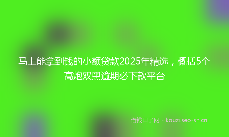 马上能拿到钱的小额贷款2025年精选，概括5个高炮双黑逾期必下款平台