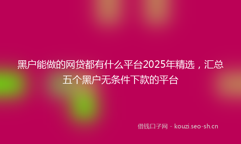 黑户能做的网贷都有什么平台2025年精选，汇总五个黑户无条件下款的平台