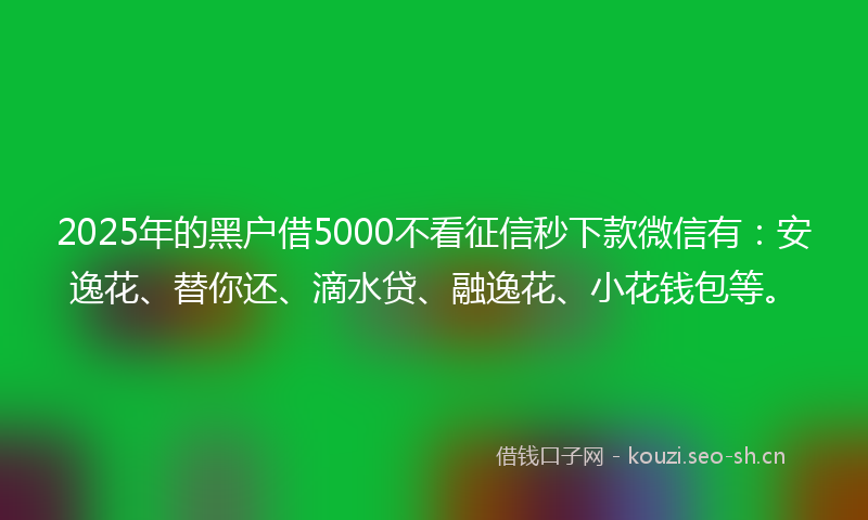 2025年的黑户借5000不看征信秒下款微信有:安逸花、替你还、滴水贷、融逸花、小花钱包等。